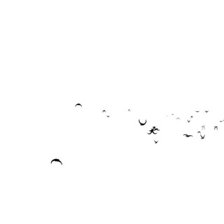 燕子小鸟元素GIF动态图